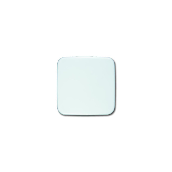 Busch-Jaeger 2546-214 Wippe mit neutralem Symbol anschraubbar (Halteelement)