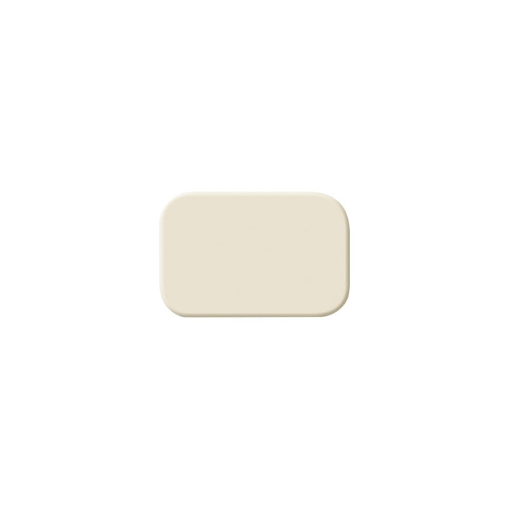 Busch-Jaeger 2525 N Tastersymbol neutral