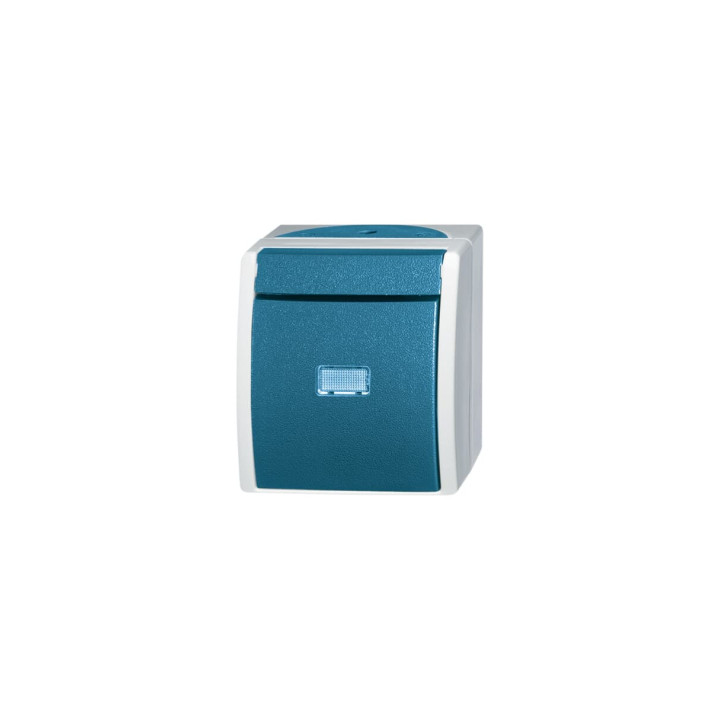 Busch-Jaeger 2601/6 WGL-53 Wippschalter Aus- und Wechselschaltung