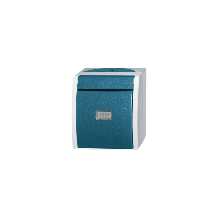 Busch-Jaeger 2621 W-53-206 Wipptaster Wechsler