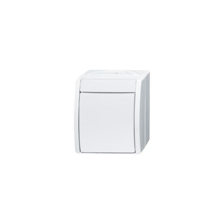 Busch-Jaeger 2601/2 W-54 Wippschalter Ausschaltung, 2-polig