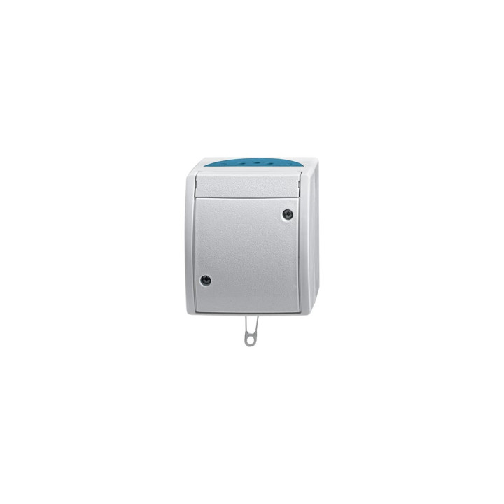 Busch-Jaeger 2610/6 W-53 Zugschalter Aus- und Wechselschaltung