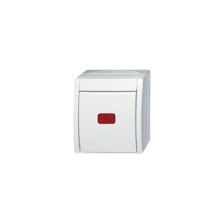 Busch-Jaeger 2601/6 SKW-54 Wippkontrollschalter Aus- und Wechselschaltung