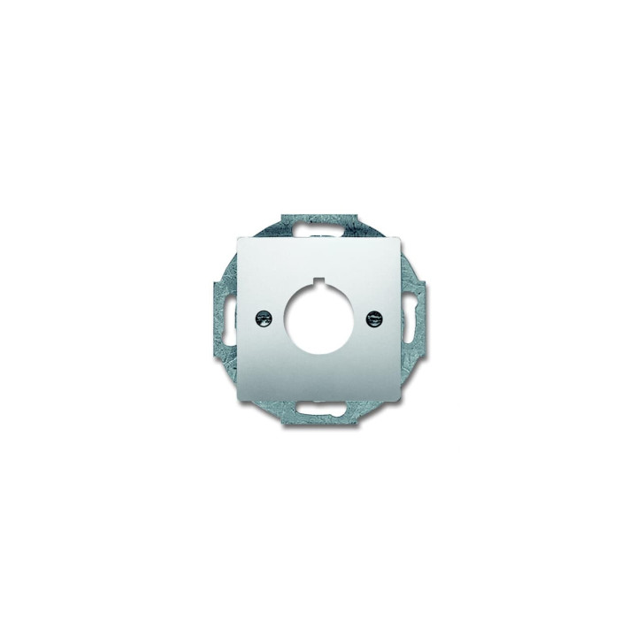 Busch-Jaeger 2533-866 Zentralscheibe mit Tragring