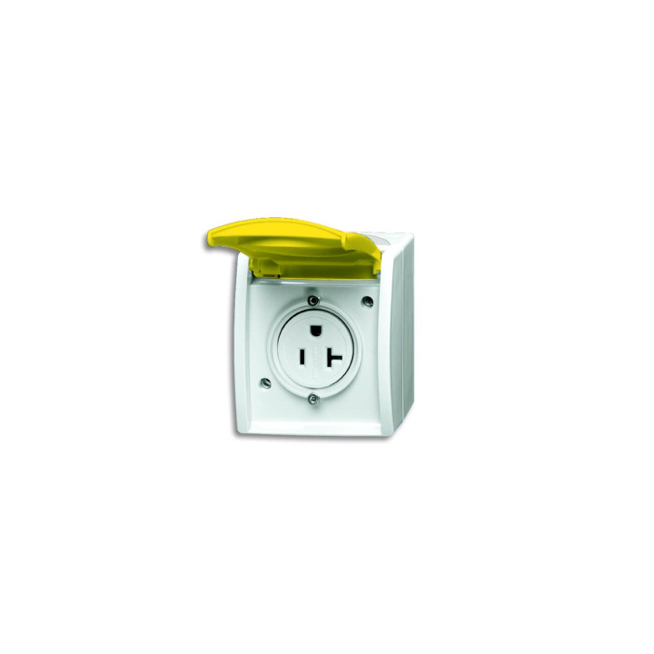 Busch-Jaeger 3016 EWN-54 Busch-Nema-Steckdose с гельбем Klappdeckel
