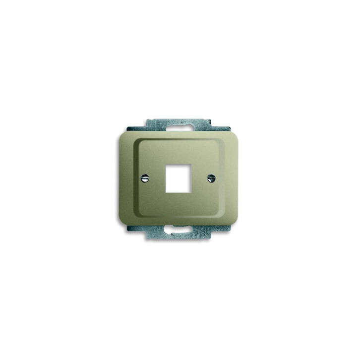 Busch-Jaeger 2561-260 Zentralscheibe mit Tragring