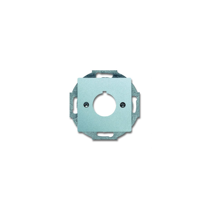 Busch-Jaeger 2533-83 Zentralscheibe mit Tragring