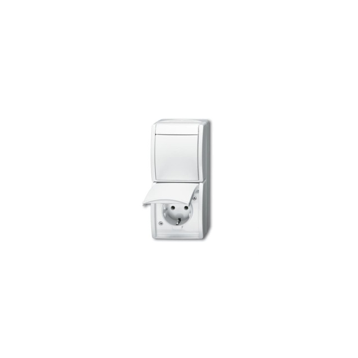 Busch-Jaeger 2601/6/20 EW-54 Kombination SCHUKO® Steckdose, mit Wippschalter Aus- und Wechselschaltung