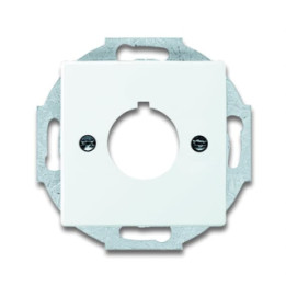 Busch-Jaeger 2533-84 Zentralscheibe mit Tragring