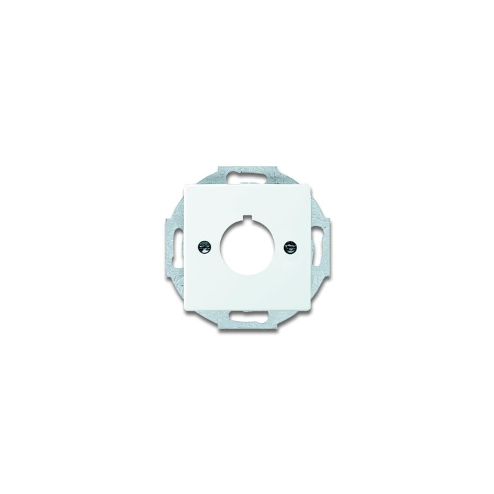 Busch-Jaeger 2533-84 Zentralscheibe mit Tragring