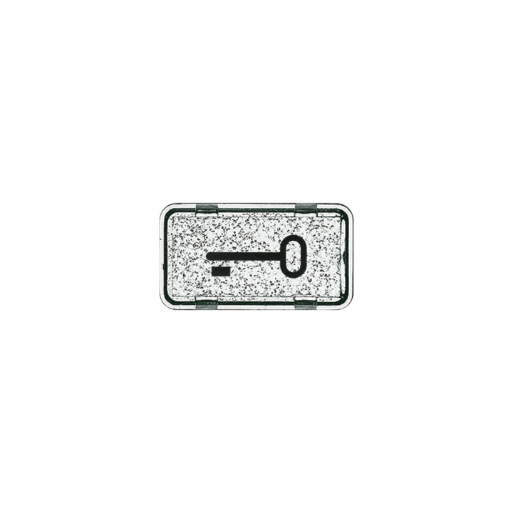 Busch-Jaeger 2622 TR-101 Tastersymbol Schlüssel