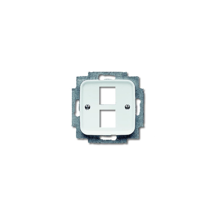 Busch-Jaeger 2561-02-214 Zentralscheibe Modular Jack