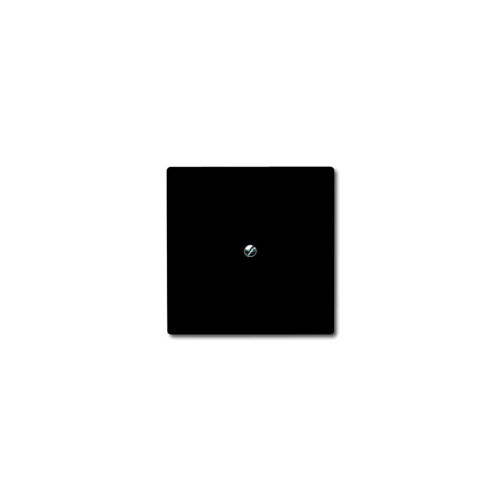 Busch-Jaeger 2138-35 Blindzentralscheibe mit Tragring
