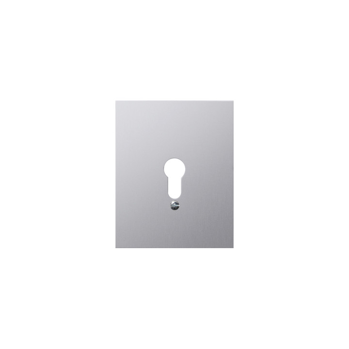 GIRA 009830 Metallabdeckung o.Symbole WG AP Aluminium