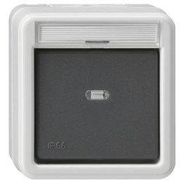 GIRA 010631 Wippschalter AusWe Beschriftungsfeld WD AP Grau