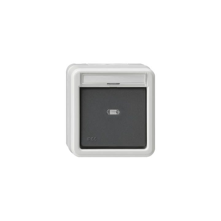 GIRA 010631 Wippschalter AusWe Beschriftungsfeld WD AP Grau