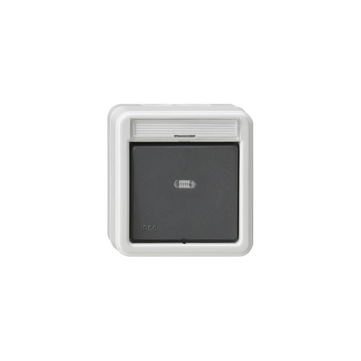 GIRA 010231 Wippschalter Aus 2-pol Beschriftungsfeld WD AP Grau