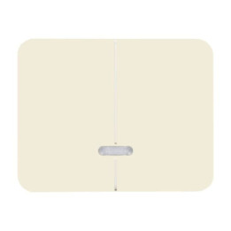 Busch-Jaeger 6545-22G Bedienelement mit Glimmlampe