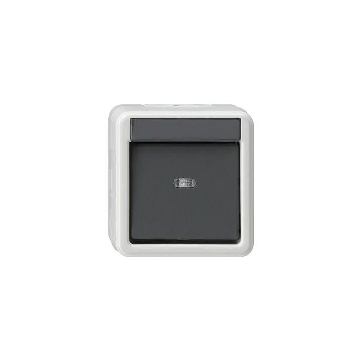 GIRA 010730 Wippschalter Kreuz WG AP Grau