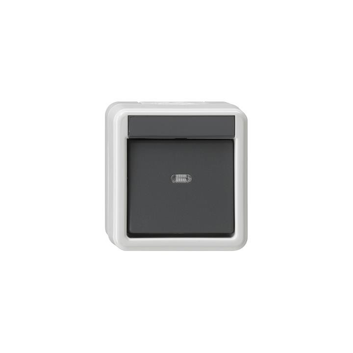 GIRA 010630 Wippschalter AusWe WG AP Grau