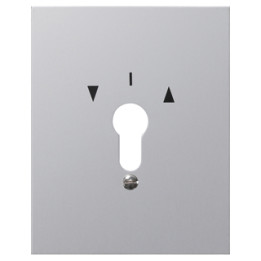 GIRA 009730 Metallabdeckung + Symbole WG AP Aluminium