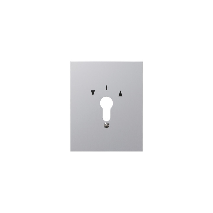 GIRA 009730 Metallabdeckung + Symbole WG AP Aluminium