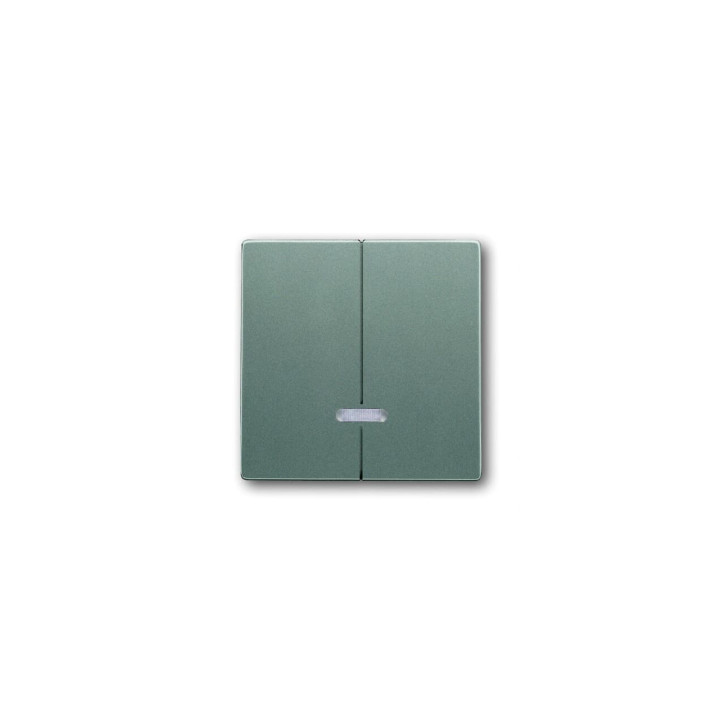 Busch-Jaeger 6545-803 Bedienelement mit Glimmlampe
