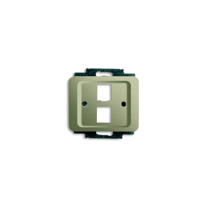 Busch-Jaeger 2561-02-260 Zentralscheibe mit Tragring