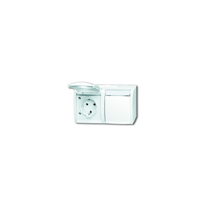Busch-Jaeger 20/2 EWN-54 SCHUKO® Steckdose 2-fach