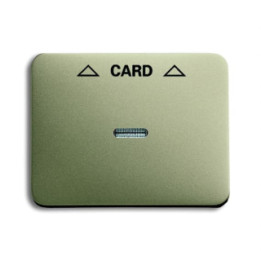 Busch-Jaeger 1792-260-101 Zentralscheibe Cardschalter