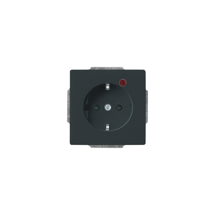 Busch-Jaeger 2310 EUGL/VA-81-11 Busch-Protector® SCHUKO® Steckdosen-Einsatz mit Überspannungsschutz