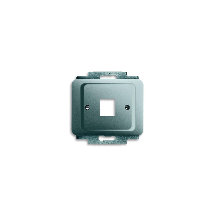 Busch-Jaeger 2561-266 Zentralscheibe mit Tragring