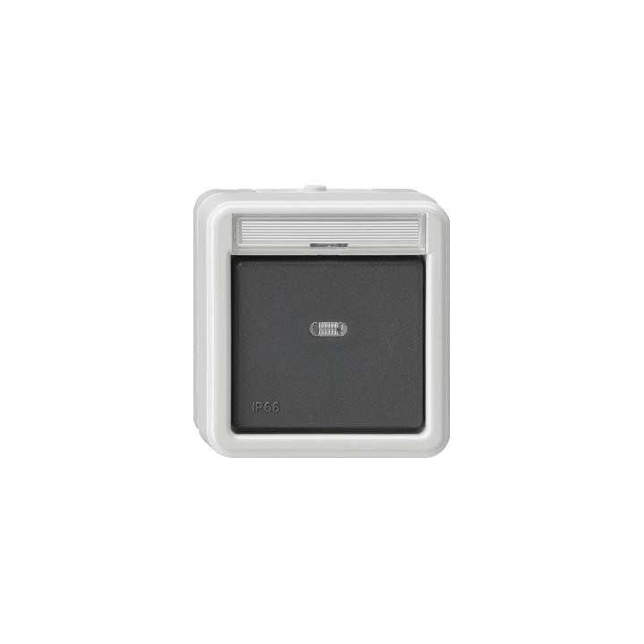 GIRA 011631 Wipp-Kontrollschalter AusWe Beschriftungsfeld WD AP Grau