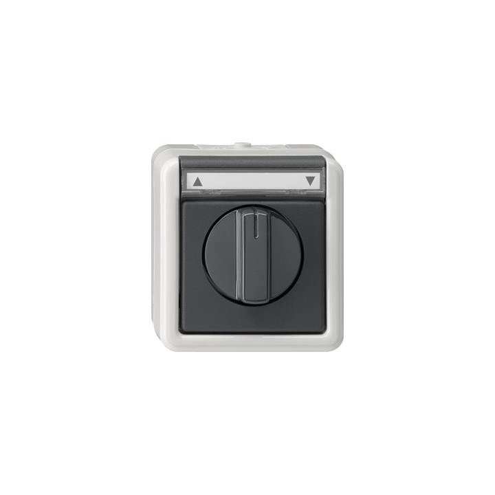 GIRA 015430 Jalousie 1-p Beschriftungsfeld WG AP Grau
