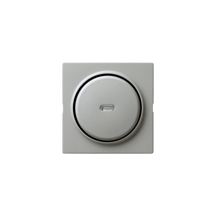 GIRA 013642 Tast-Kontrollschalter AusWe Abdeckung S-Color Grau