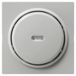 GIRA 012242 Tast-Kontrollschalter Aus 2-pol S-Color Grau