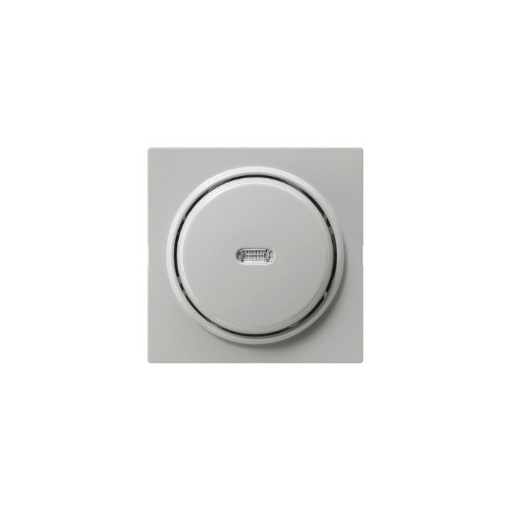 GIRA 012242 Tast-Kontrollschalter Aus 2-pol S-Color Grau