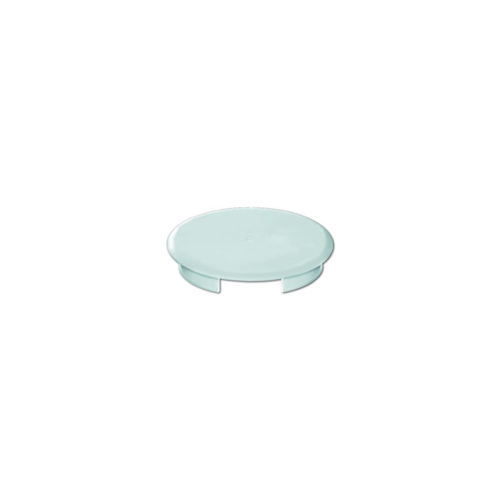 Busch-Jaeger 8229/3 Blinddeckel