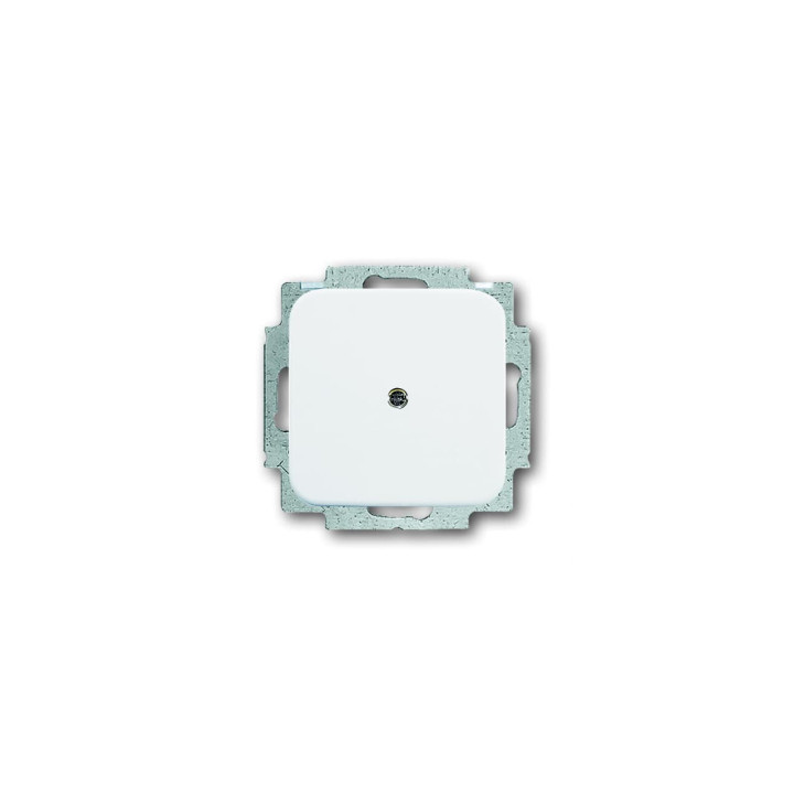 Busch-Jaeger 2538-214 Blindzentralscheibe mit Tragring