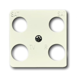 Busch-Jaeger 1743-04-212 Zentralscheibe 50 x 50 mm