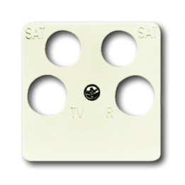 Busch-Jaeger 1743/10-04-212 Zentralscheibe 50 x 50 mm