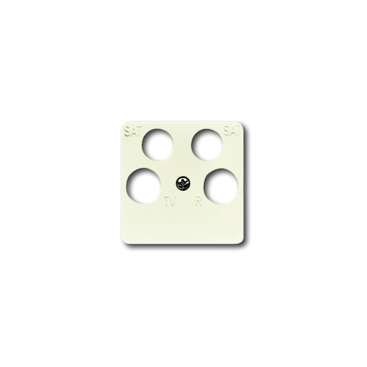 Busch-Jaeger 1743/10-04-212 Zentralscheibe 50 x 50 mm