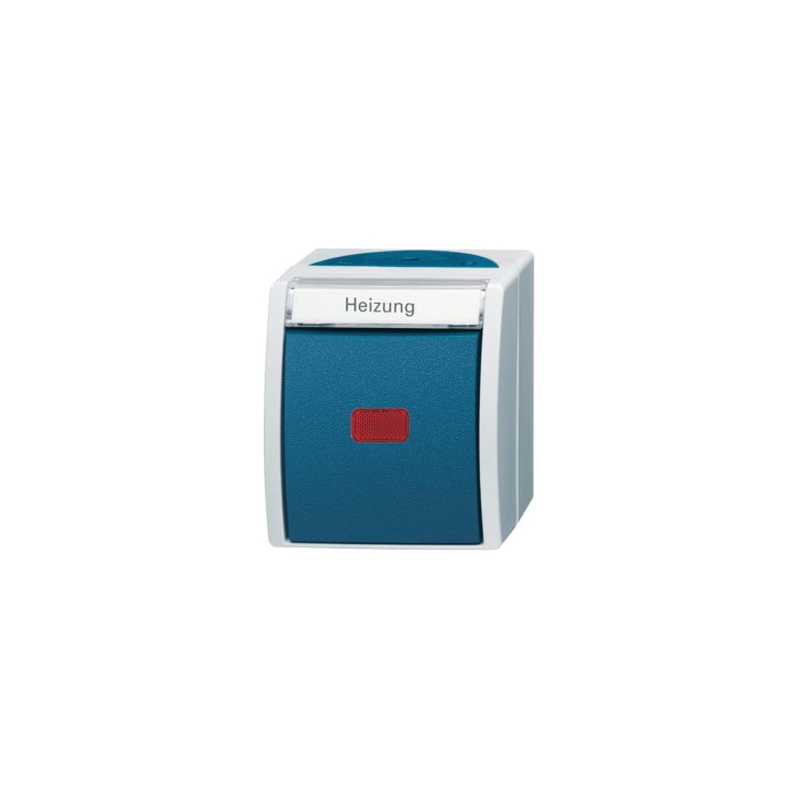 Busch-Jaeger 2601/2 SKWNH-53 Wippkontrollschalter/Heizungsschalter Ausschaltung, 2-polig