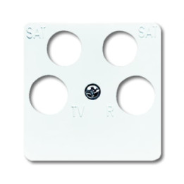 Busch-Jaeger 1743/10-04-214 Zentralscheibe 50 x 50 mm