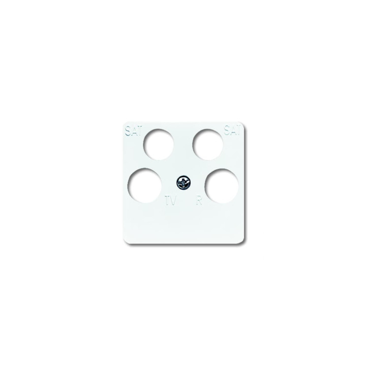 Busch-Jaeger 1743/10-04-214 Zentralscheibe 50 x 50 mm