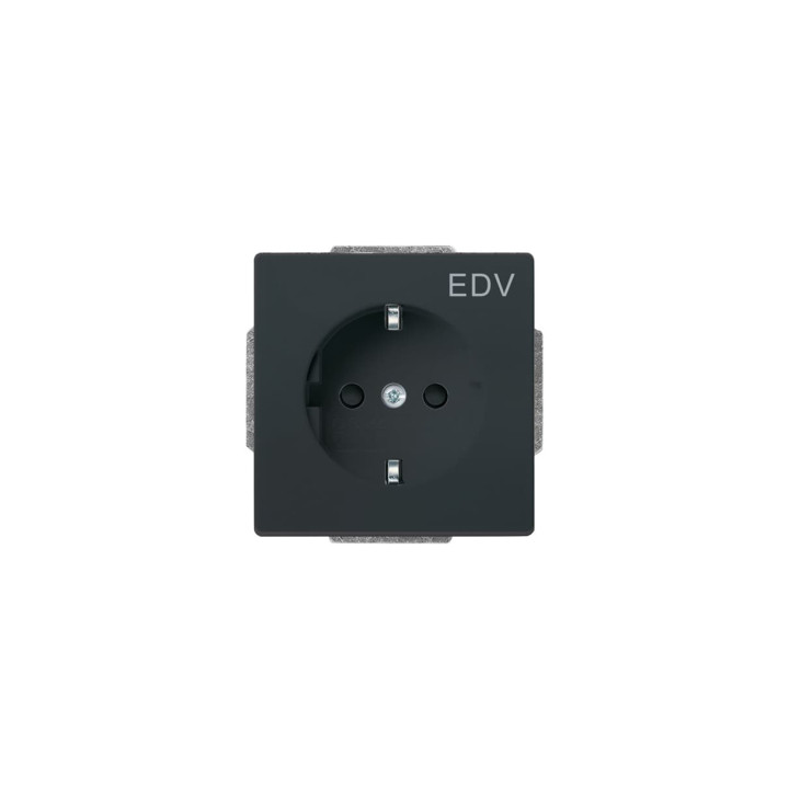 Busch-Jaeger 20 EUCKS/DV-81 SCHUKO® Steckdosen-Einsatz mit Aufdruck "EDV"