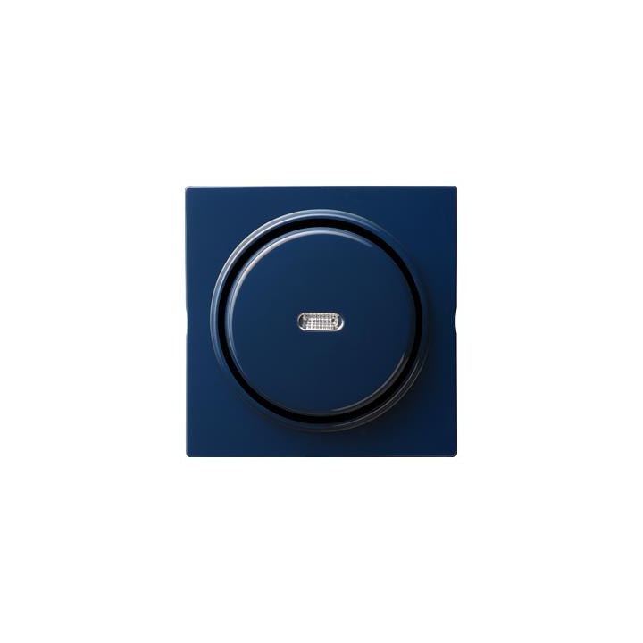 GIRA 013646 Tast-Kontrollschalter AusWe Abdeckung S-Color Blau