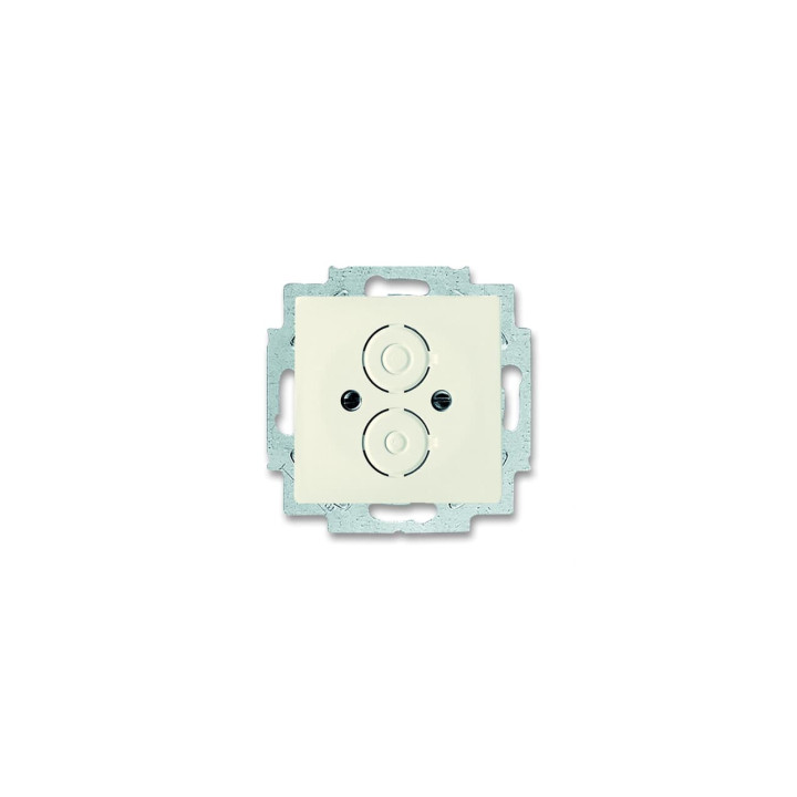 Busch-Jaeger 1748-82 Zentralscheibe mit Tragring