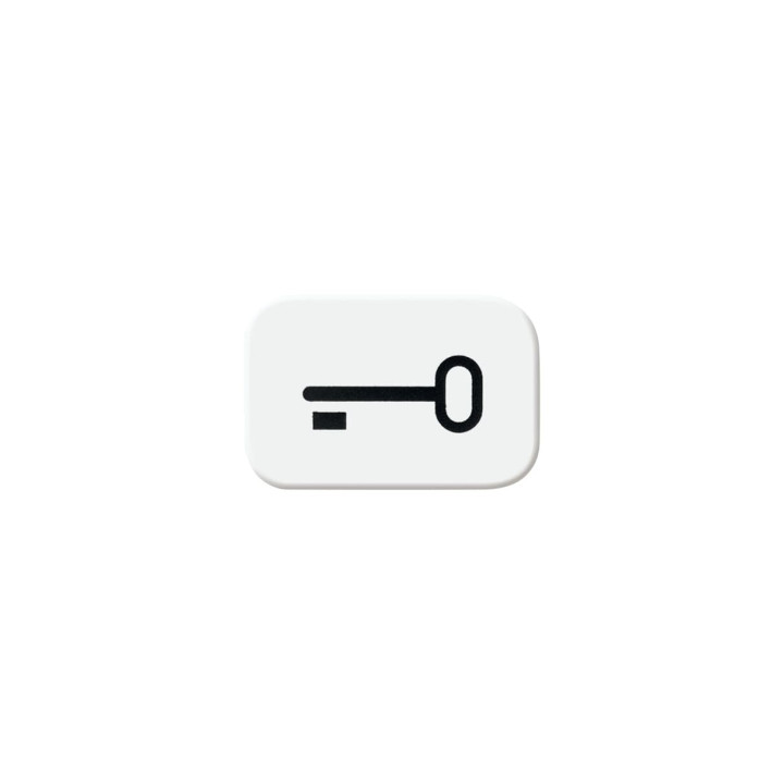 Busch-Jaeger 2525 TR-214 Tastersymbol Schlüssel