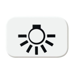 Busch-Jaeger 2525 LI-214 Tastersymbol Licht